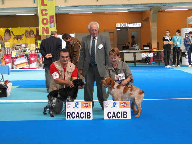 Les expositions
