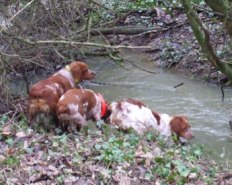La chasse